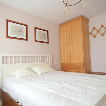 Apartamento Pena Erata Biescas (Aragon)